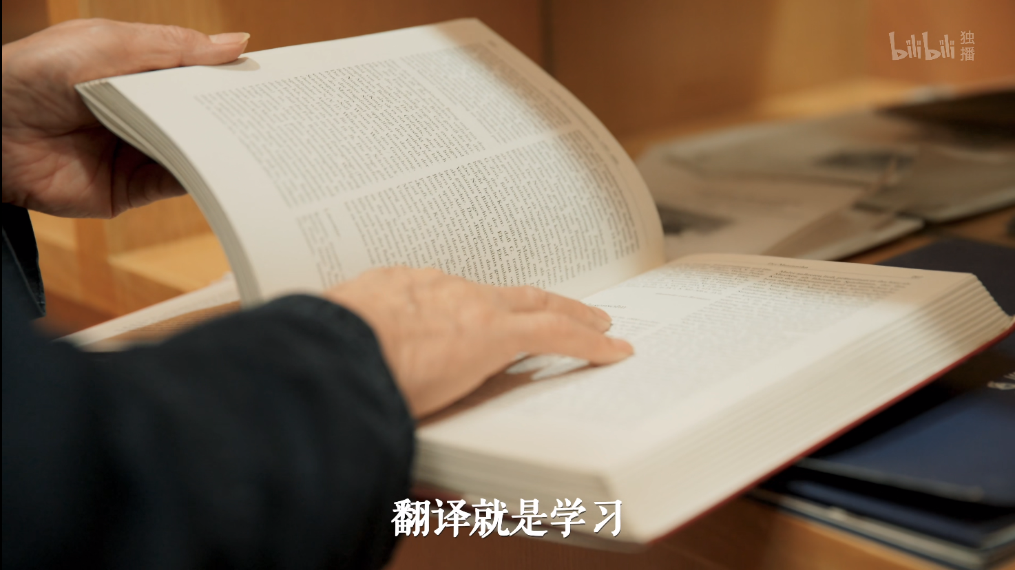 翻译者，词语的摆渡人