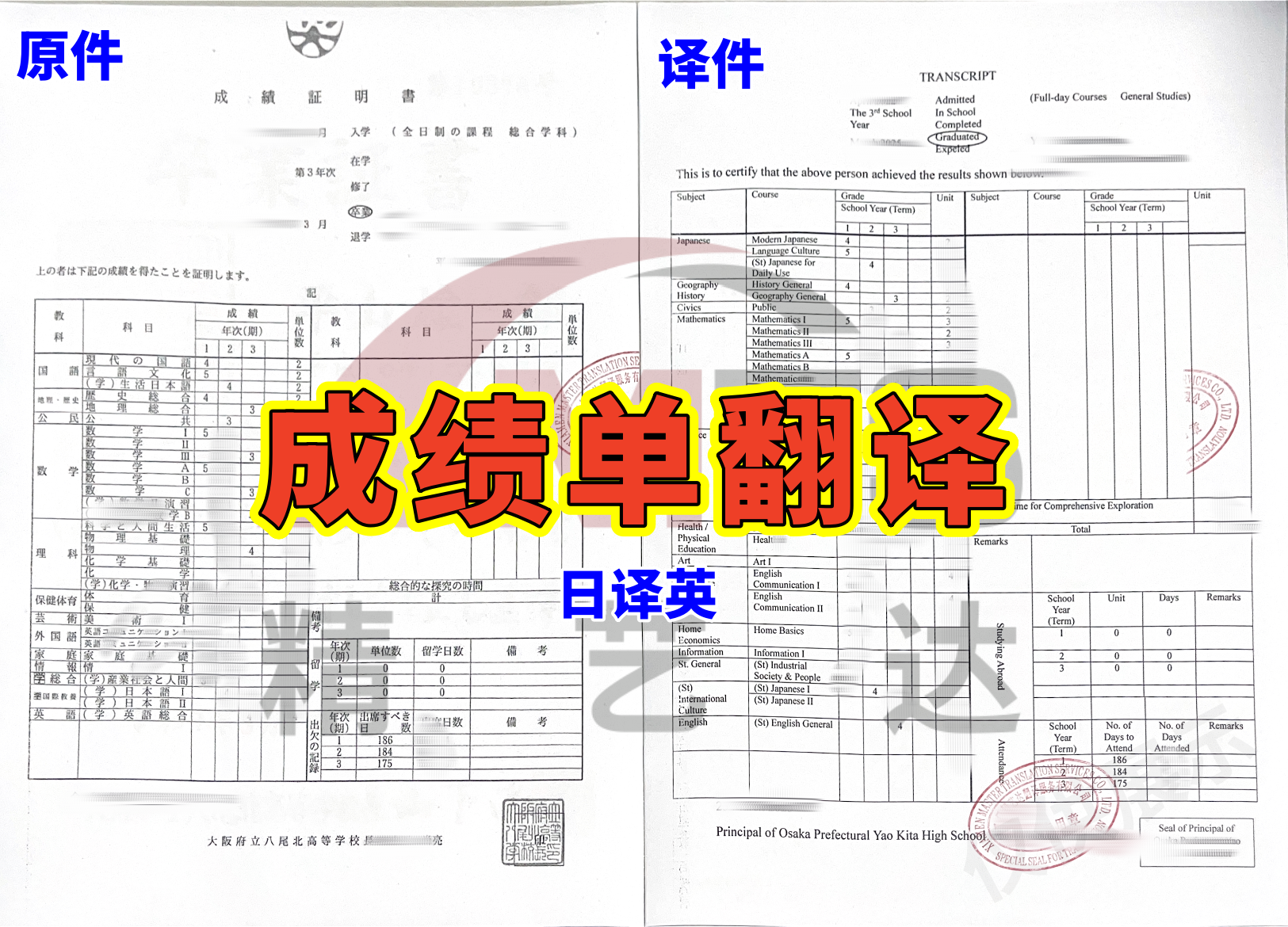 Transcript translation