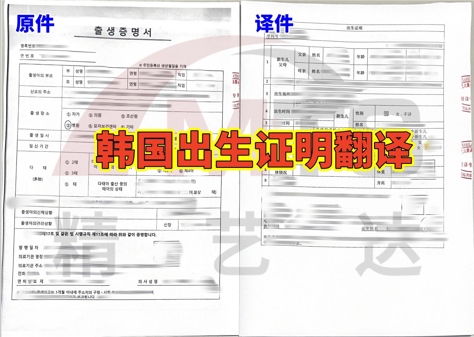 韩国出生证明书翻译案例